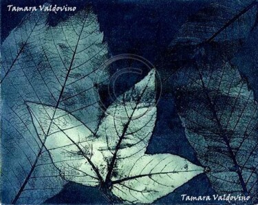 Digitale Kunst mit dem Titel "Hojita luminosa" von Tamara Valdovino, Original-Kunstwerk