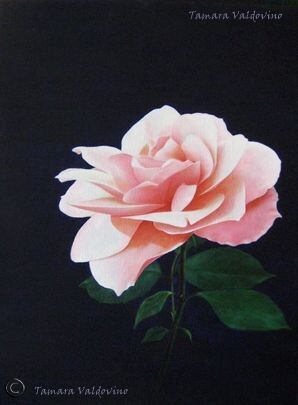 Malerei mit dem Titel "Between the rose an…" von Tamara Valdovino, Original-Kunstwerk