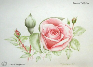 Malerei mit dem Titel "Rose" von Tamara Valdovino, Original-Kunstwerk