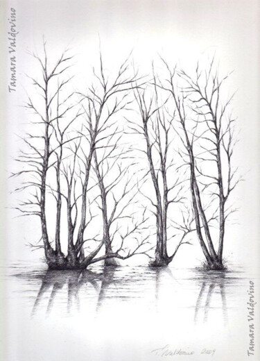 Zeichnungen mit dem Titel "The reflection" von Tamara Valdovino, Original-Kunstwerk