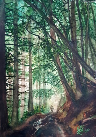 Forest Peinture intitulée "Forest" par Tamara Maior, Œuvre d'art originale, Aquarelle