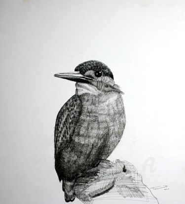 Dibujo titulada "IJsvogel" por Tamas Herczeg, Obra de arte original, Tinta