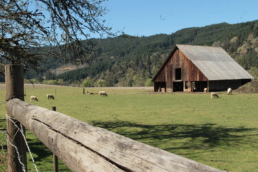 Fotografie getiteld "Oregon barn" door Tammy Gauthreaux, Origineel Kunstwerk, Niet gemanipuleerde fotografie