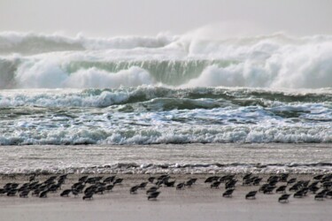 Photography titled "stormy Sea" by Tammy Gauthreaux, Original Artwork, Non Manipulated Photography