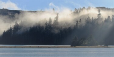 Photography titled "Oregon drive" by Tammy Gauthreaux, Original Artwork, Non Manipulated Photography