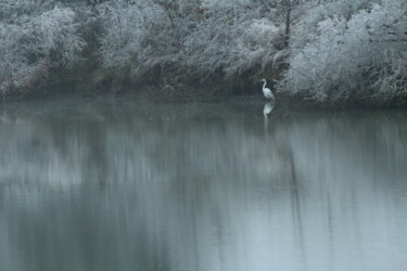 Photography titled "frosty morning" by Tammy Gauthreaux, Original Artwork, Non Manipulated Photography