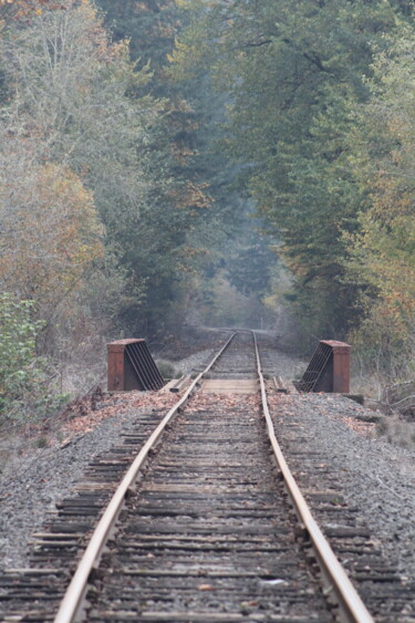Photography titled "train coming?" by Tammy Gauthreaux, Original Artwork, Non Manipulated Photography