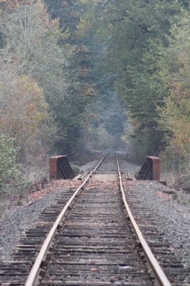 Photographie intitulée "train coming?" par Tammy Gauthreaux, Œuvre d'art originale, Photographie non manipulée