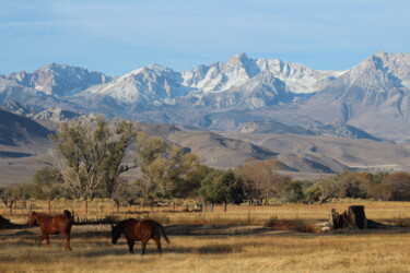 Photography titled "California dreaming" by Tammy Gauthreaux, Original Artwork, Non Manipulated Photography