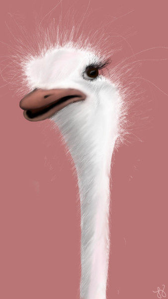 Digital Arts titled "Silly Ostrich" by Tammy Judd, Original Artwork