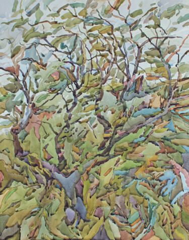 Painting titled "Big young tree" by Tanbelia, Original Artwork, Watercolor