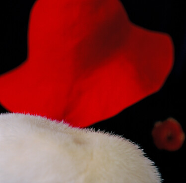 Fotografía titulada "Red hat" por Tania Serket, Obra de arte original, Fotografía analógica