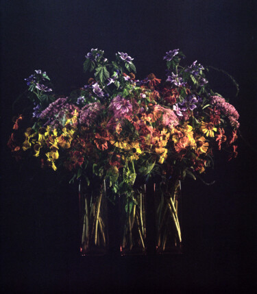 Fotografía titulada "Mixed colors of flo…" por Tania Serket, Obra de arte original, Fotografía analógica