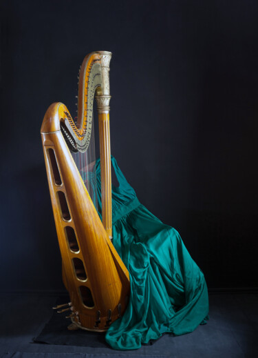 Fotografia intitulada "The harp" por Tania Serket, Obras de arte originais, Fotografia digital