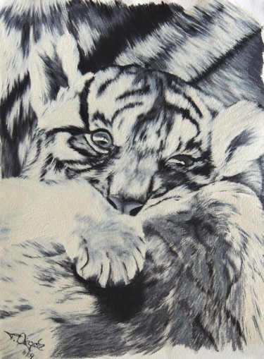 Painting titled "tiger-klein.jpg" by Tanja Niegsch, Original Artwork, Oil