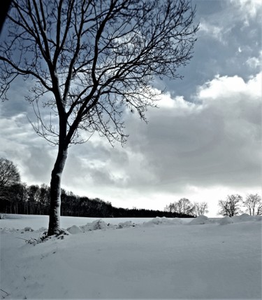 Fotografie mit dem Titel "snowday" von Tanja Niegsch, Original-Kunstwerk, Digitale Fotografie