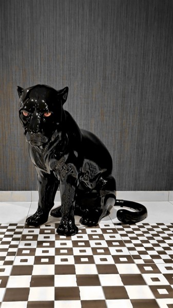 Fotografie mit dem Titel "black cat" von Tanja Niegsch, Original-Kunstwerk, Digitale Fotografie