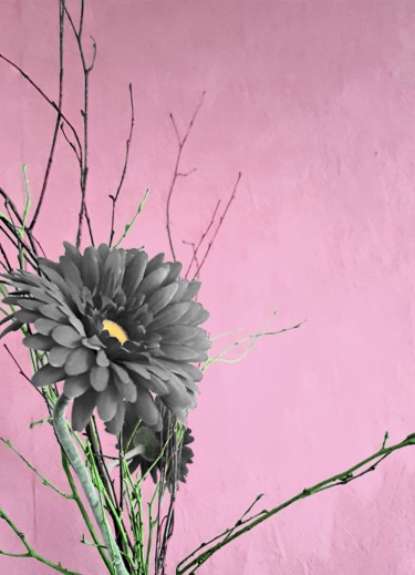 Photographie intitulée "pink" par Tanja Niegsch, Œuvre d'art originale, Photographie numérique
