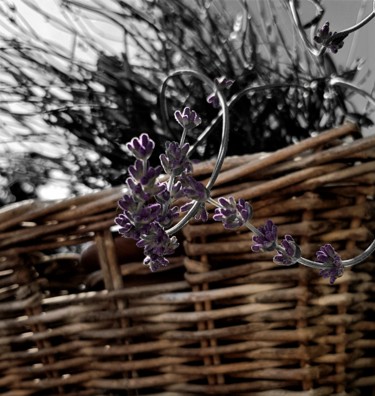 Photography titled "lavender" by Tanja Niegsch, Original Artwork, Digital Photography