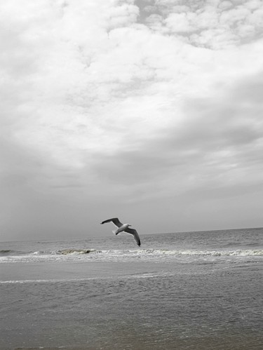 Fotografie mit dem Titel "fly away" von Tanja Niegsch, Original-Kunstwerk, Digitale Fotografie