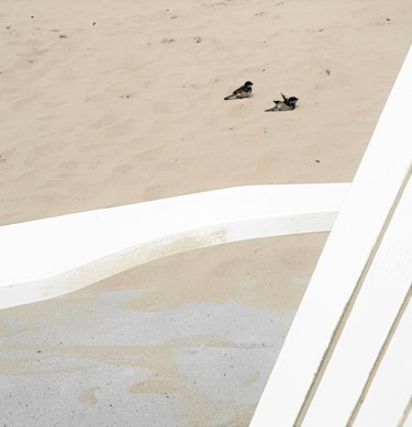 Fotografie mit dem Titel "a bath in the sand" von Tanja Niegsch, Original-Kunstwerk, Digitale Fotografie