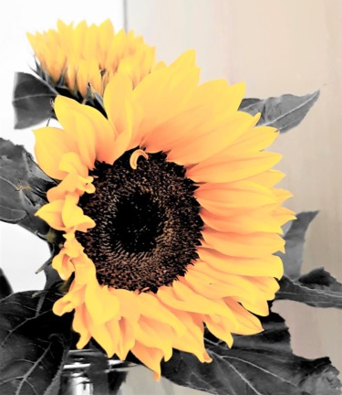 Photography titled "sun flower" by Tanja Niegsch, Original Artwork, Digital Photography