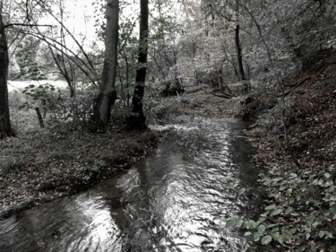 Photography titled "the stream" by Tanja Niegsch, Original Artwork, Digital Photography