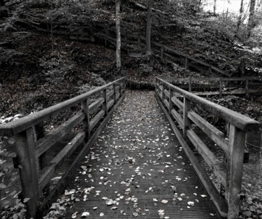 Photography titled "bridge" by Tanja Niegsch, Original Artwork, Digital Photography