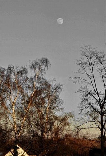 Photography titled "moon on a sunny mor…" by Tanja Niegsch, Original Artwork, Digital Photography