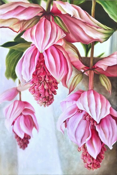 Картина под названием "Medinilla - Botanic…" - Tanya Churey, Подлинное произведение искусства, Масло
