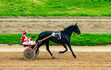 Фотография под названием "Horse racing" - Tanya Shark, Подлинное произведение искусства, Цифровая фотография