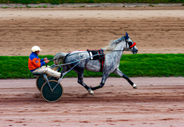 Photographie intitulée "Horse racing 2" par Tanya Shark, Œuvre d'art originale, Photographie numérique