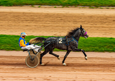 Fotografie mit dem Titel "Horse racing 3" von Tanya Shark, Original-Kunstwerk, Digitale Fotografie
