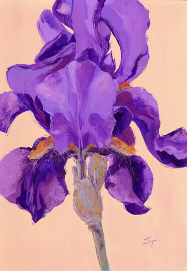 Malerei mit dem Titel "Purple Iris Silhoue…" von Tanya Sviatlichnaya, Original-Kunstwerk, Tempera