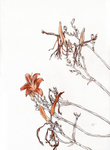 Drawing titled "Outgoing Lilies of…" by Tanya Sviatlichnaya, Original Artwork, Conté