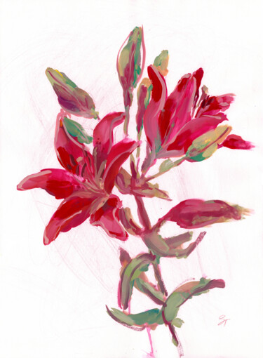 Painting titled "Ruby Lily Sketch" by Tanya Sviatlichnaya, Original Artwork, Gouache