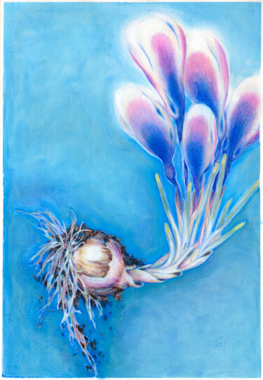 Malerei mit dem Titel "Rethinking Botany:…" von Tanya Sviatlichnaya, Original-Kunstwerk, Conté-Buntstifte