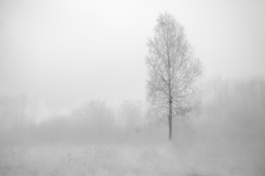 Fotografie getiteld "Enclave 3 (Foggy mo…" door Alexander Tarasenkov, Origineel Kunstwerk, Digitale fotografie