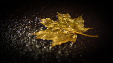 「Mood Color - Autumn…」というタイトルの写真撮影 Alexander Tarasenkovによって, オリジナルのアートワーク, 操作されていない写真