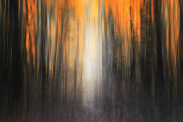Photographie intitulée "Mood Color - Autumn…" par Alexander Tarasenkov, Œuvre d'art originale, Photographie non manipulée