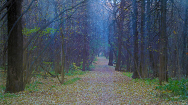 Fotografie getiteld "Mood Color - Autumn…" door Alexander Tarasenkov, Origineel Kunstwerk, Niet gemanipuleerde fotografie