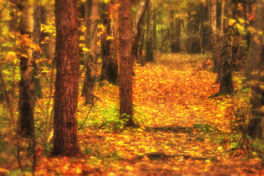 "Mood Color - Autumn…" başlıklı Fotoğraf Alexander Tarasenkov tarafından, Orijinal sanat, Fotoşoplu fotoğrafçılık