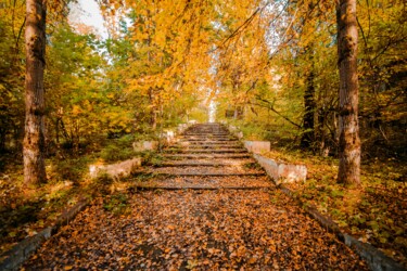 Fotografia intitolato "Mood Color - Autumn…" da Alexander Tarasenkov, Opera d'arte originale, Fotografia non manipolata