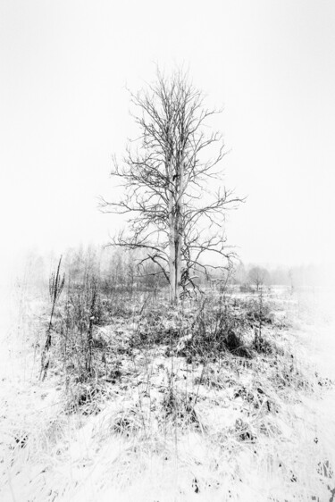 Fotografia zatytułowany „And outside the cit…” autorstwa Alexander Tarasenkov, Oryginalna praca, Fotografia nie manipulowana