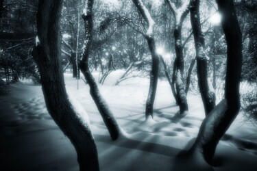 Fotografie getiteld "Two-tone winter 13" door Alexander Tarasenkov, Origineel Kunstwerk, Niet gemanipuleerde fotografie