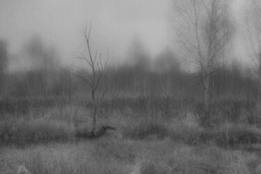 Фотография под названием "Stillness speaks 2" - Alexander Tarasenkov, Подлинное произведение искусства, Манипулированная фот…