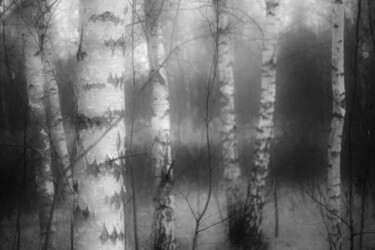 Φωτογραφία με τίτλο "Stillness speaks 3" από Alexander Tarasenkov, Αυθεντικά έργα τέχνης, Χειρισμένη φωτογραφία