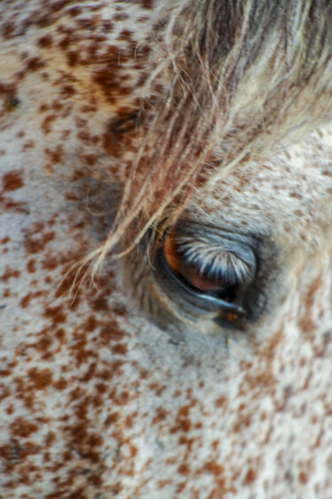 Fotografia intitolato "Eyes" da Tarek Mesbahi, Opera d'arte originale, Fotografia non manipolata