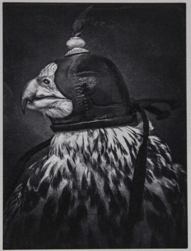 Fotografia intitulada "Saker, hooded hunti…" por Tariq Dajani, Obras de arte originais, Fotografia digital