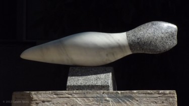 Escultura titulada "Aquatic form III.jpg" por Catalin Tarziu, Obra de arte original, Piedra